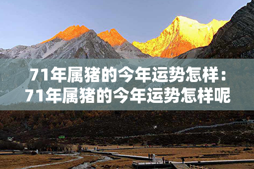 71年属猪的今年运势怎样：71年属猪的今年运势怎样呢 