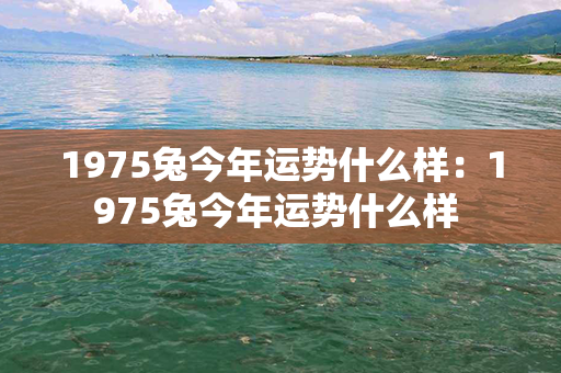 1975兔今年运势什么样：1975兔今年运势什么样 