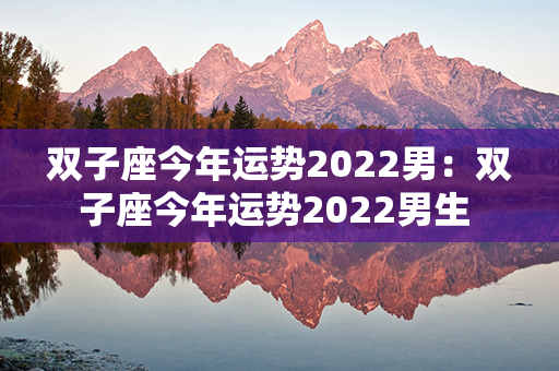 双子座今年运势2022男：双子座今年运势2022男生 