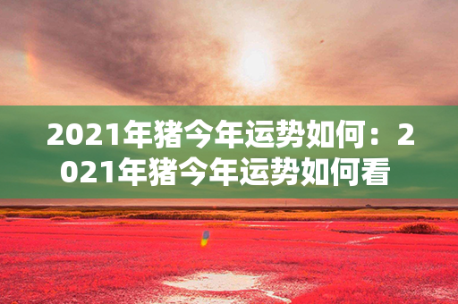 2021年猪今年运势如何：2021年猪今年运势如何看 