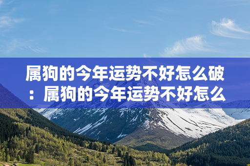 属狗的今年运势不好怎么破：属狗的今年运势不好怎么破解 