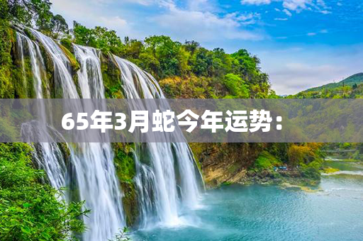 65年3月蛇今年运势： 