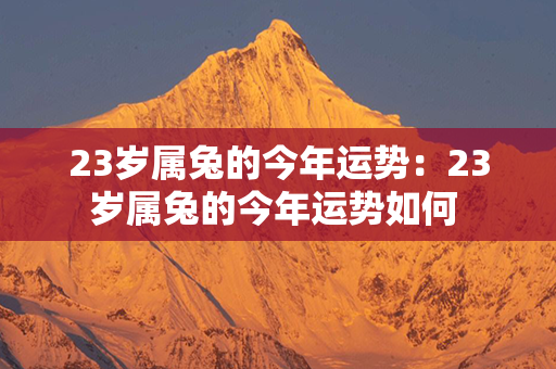 23岁属兔的今年运势：23岁属兔的今年运势如何 