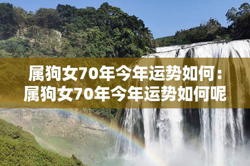 属狗女70年今年运势如何：属狗女70年今年运势如何呢 