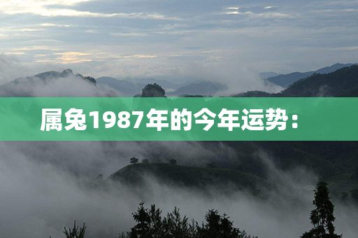 属兔1987年的今年运势： 