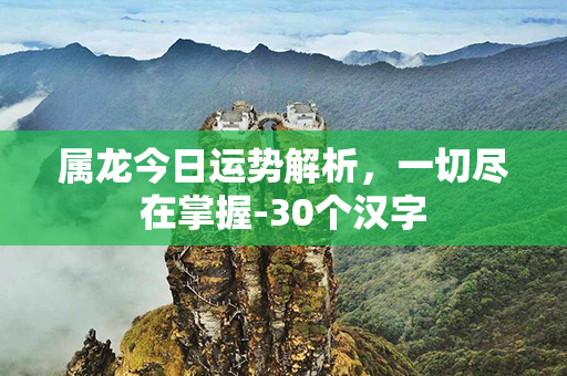 属龙今日运势解析，一切尽在掌握-30个汉字