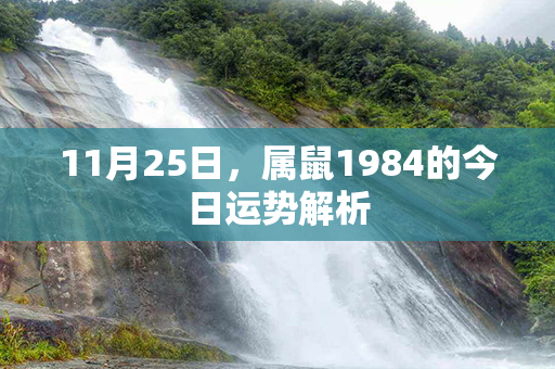 11月25日，属鼠1984的今日运势解析