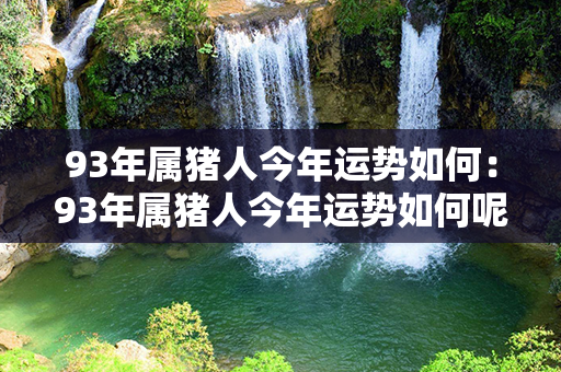 93年属猪人今年运势如何：93年属猪人今年运势如何呢 