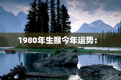 1980年生猴今年运势： 