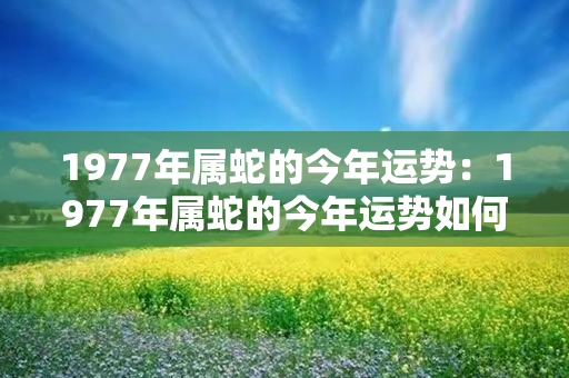 1977年属蛇的今年运势：1977年属蛇的今年运势如何 