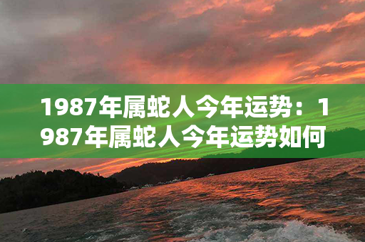 1987年属蛇人今年运势：1987年属蛇人今年运势如何 