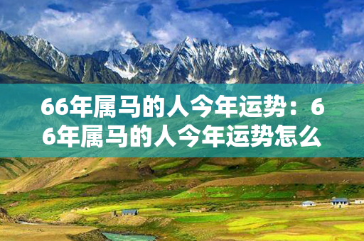 66年属马的人今年运势：66年属马的人今年运势怎么样 