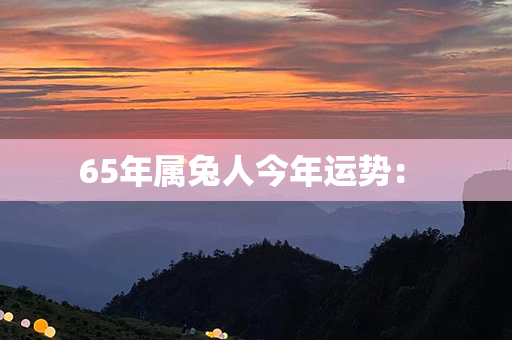 65年属兔人今年运势： 