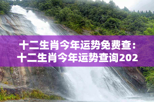 十二生肖今年运势免费查：十二生肖今年运势查询2023 