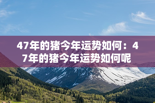 47年的猪今年运势如何：47年的猪今年运势如何呢 