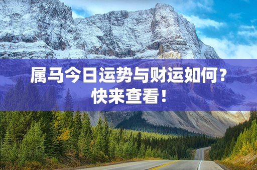 属马今日运势与财运如何？快来查看！