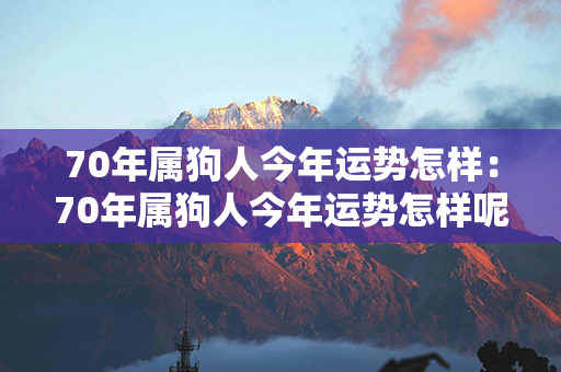 70年属狗人今年运势怎样：70年属狗人今年运势怎样呢 