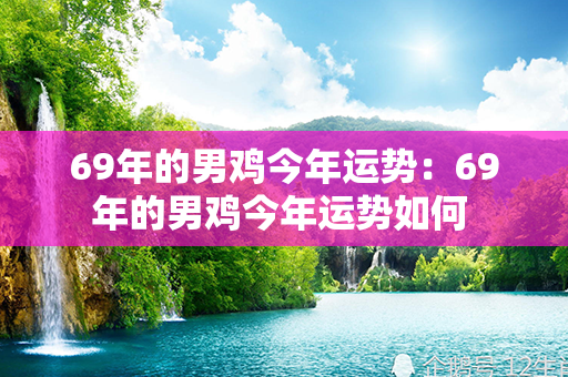 69年的男鸡今年运势：69年的男鸡今年运势如何 