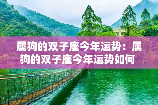 属狗的双子座今年运势：属狗的双子座今年运势如何 