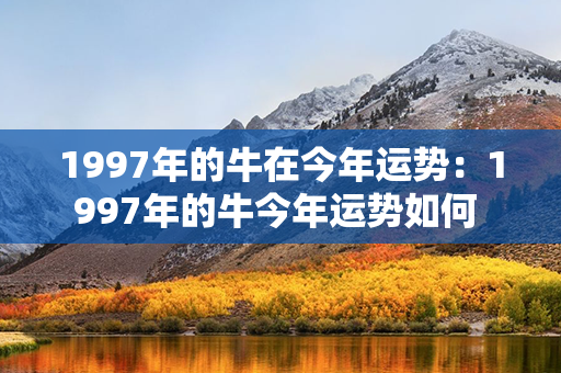 1997年的牛在今年运势：1997年的牛今年运势如何 