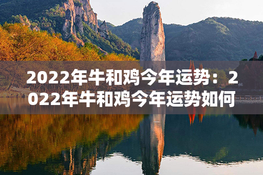 2022年牛和鸡今年运势：2022年牛和鸡今年运势如何 