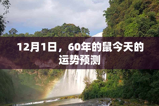 12月1日，60年的鼠今天的运势预测