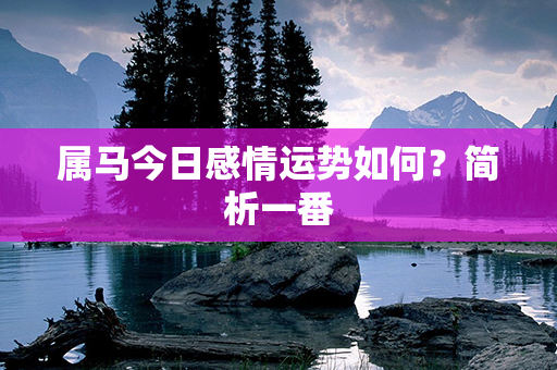 属马今日感情运势如何？简析一番