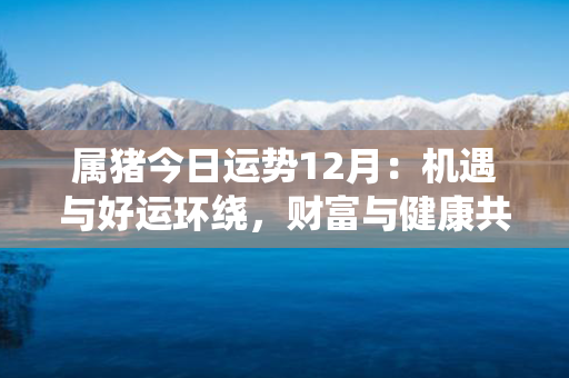 属猪今日运势12月：机遇与好运环绕，财富与健康共荣