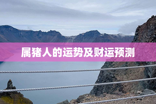 属猪人的运势及财运预测