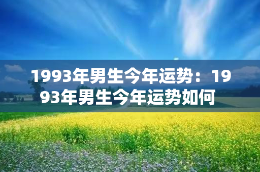 1993年男生今年运势：1993年男生今年运势如何 