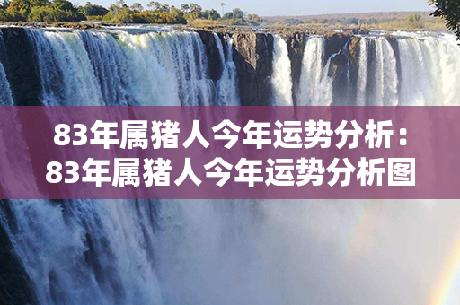 83年属猪人今年运势分析：83年属猪人今年运势分析图 