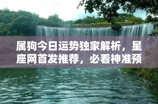 属狗今日运势独家解析，星座网首发推荐，必看神准预测！