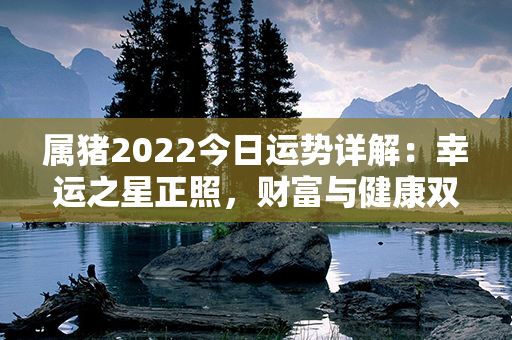 属猪2022今日运势详解：幸运之星正照，财富与健康双丰收