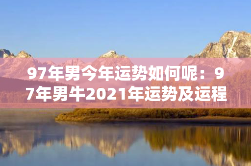 97年男今年运势如何呢：97年男牛2021年运势及运程 