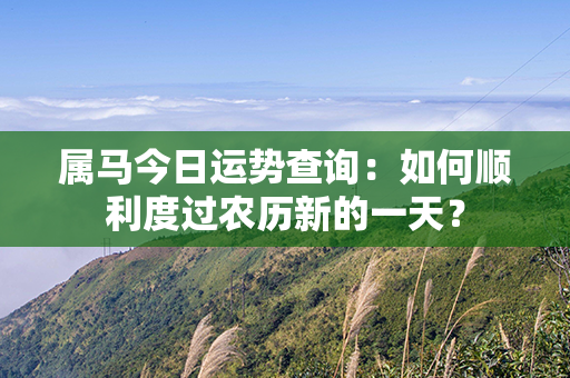 属马今日运势查询：如何顺利度过农历新的一天？