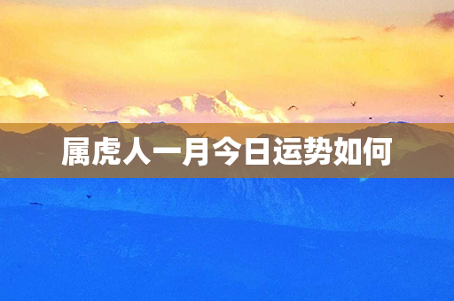 属虎人一月今日运势如何