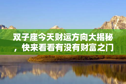 双子座今天财运方向大揭秘，快来看看有没有财富之门等着你