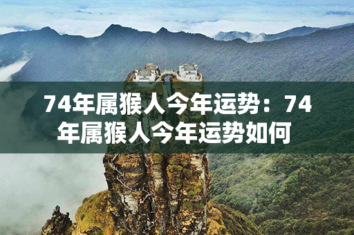 74年属猴人今年运势：74年属猴人今年运势如何 