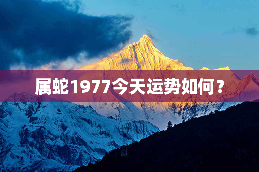 属蛇1977今天运势如何？