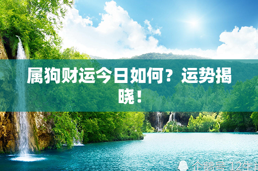 属狗财运今日如何？运势揭晓！