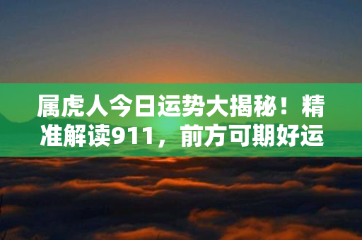 属虎人今日运势大揭秘！精准解读911，前方可期好运加持！