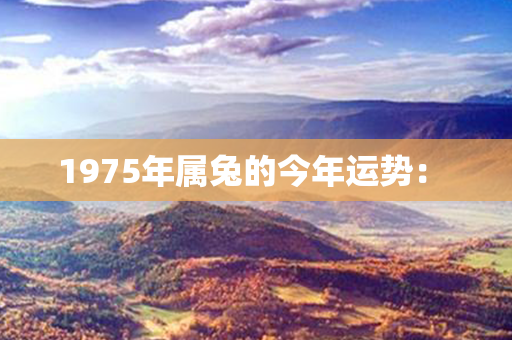 1975年属兔的今年运势： 