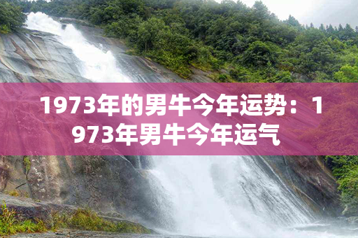 1973年的男牛今年运势：1973年男牛今年运气 