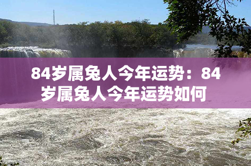 84岁属兔人今年运势：84岁属兔人今年运势如何 