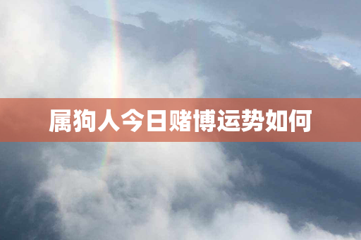 属狗人今日赌博运势如何