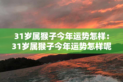 31岁属猴子今年运势怎样：31岁属猴子今年运势怎样呢 