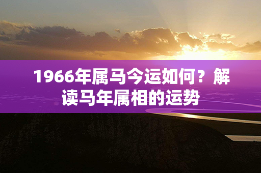 1966年属马今运如何？解读马年属相的运势