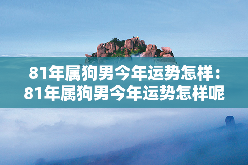 81年属狗男今年运势怎样：81年属狗男今年运势怎样呢 