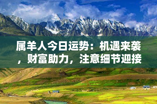 属羊人今日运势：机遇来袭，财富助力，注意细节迎接成功。