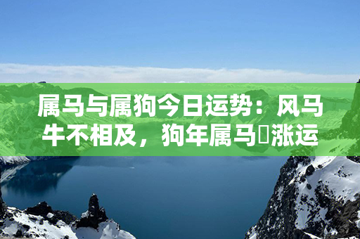 属马与属狗今日运势：风马牛不相及，狗年属马髙涨运势！